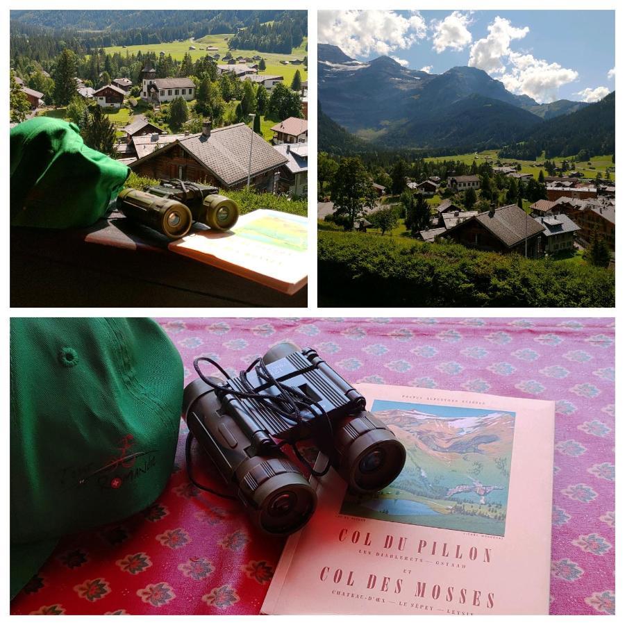 Studio Avec Vue Splendide Sur Les Diablerets Eksteriør bilde