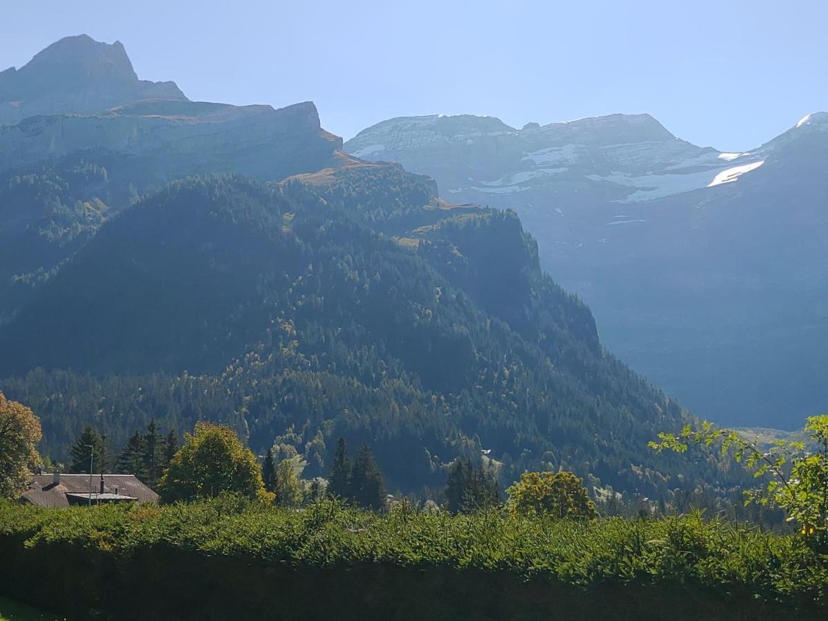 Studio Avec Vue Splendide Sur Les Diablerets Eksteriør bilde
