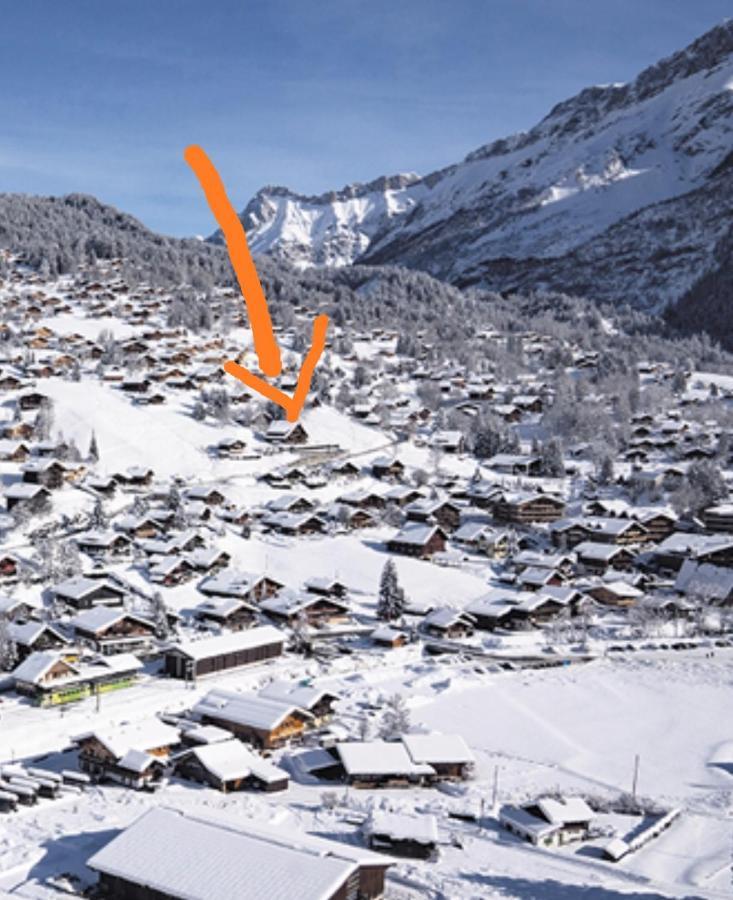 Studio Avec Vue Splendide Sur Les Diablerets Eksteriør bilde