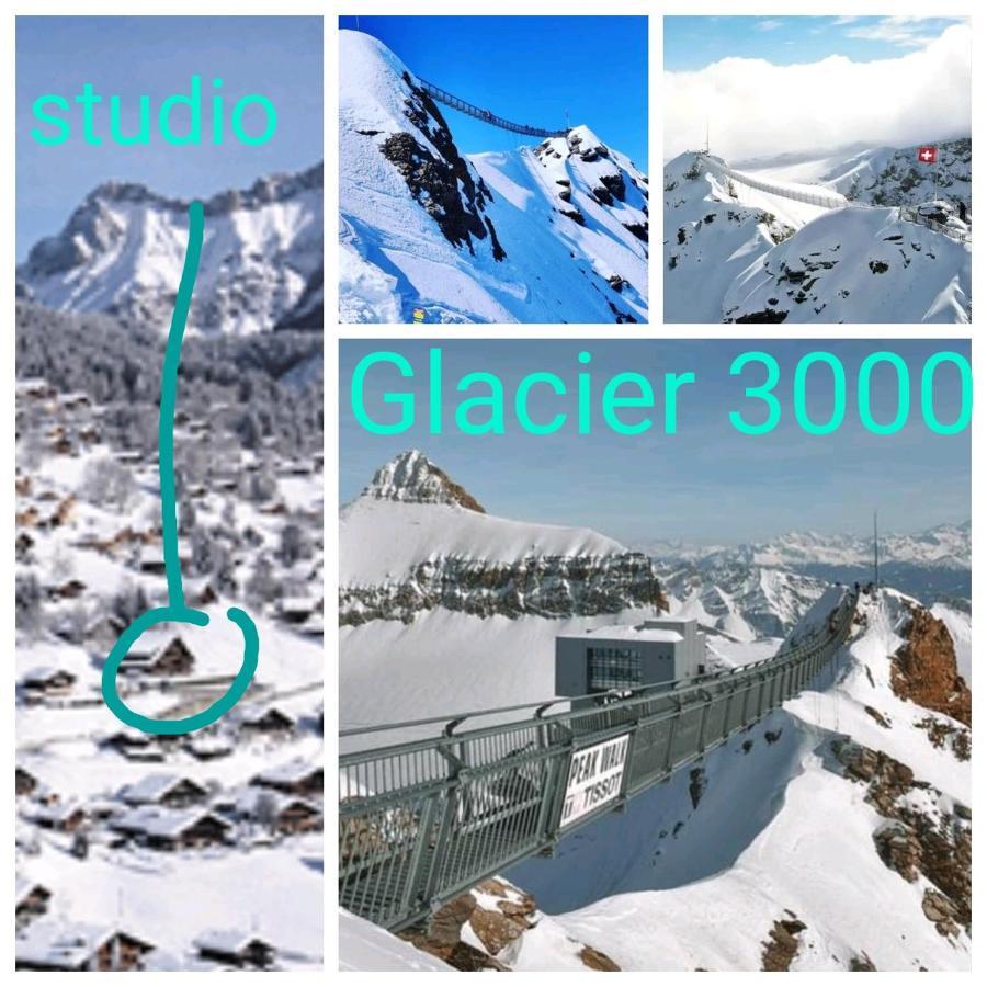 Studio Avec Vue Splendide Sur Les Diablerets Eksteriør bilde