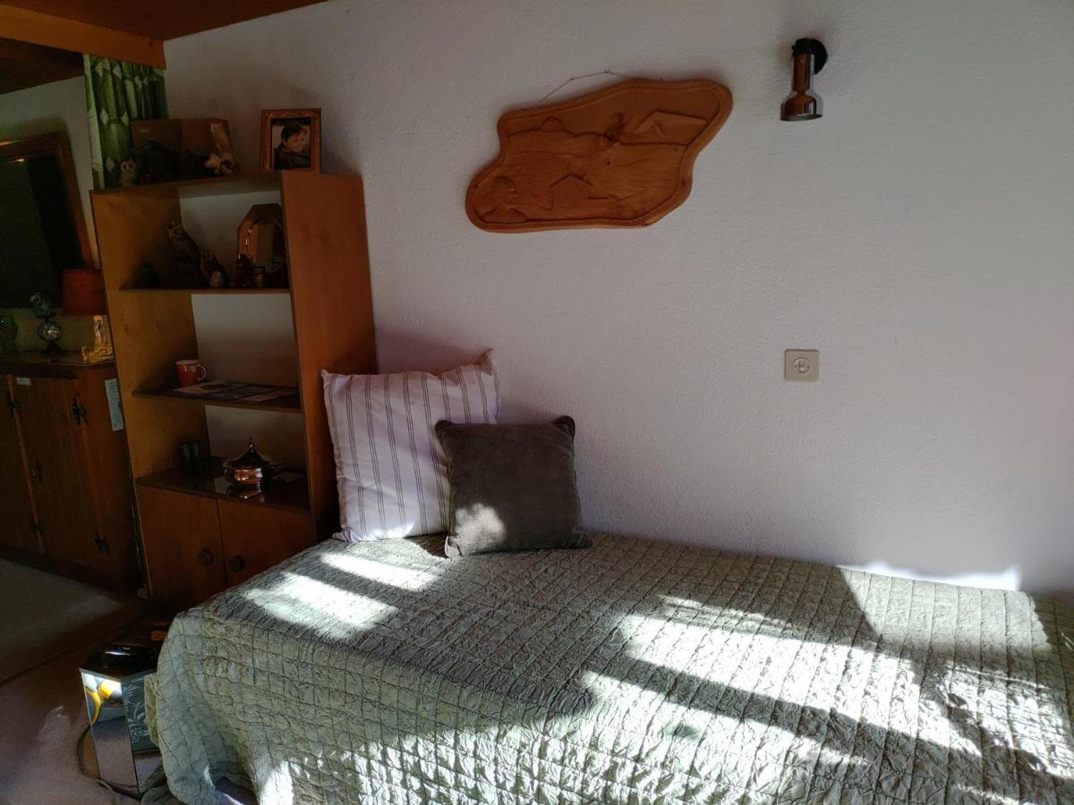 Studio Avec Vue Splendide Sur Les Diablerets Eksteriør bilde