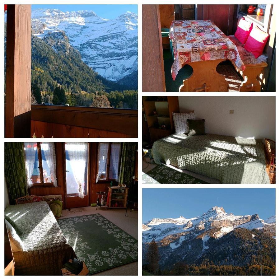 Studio Avec Vue Splendide Sur Les Diablerets Eksteriør bilde