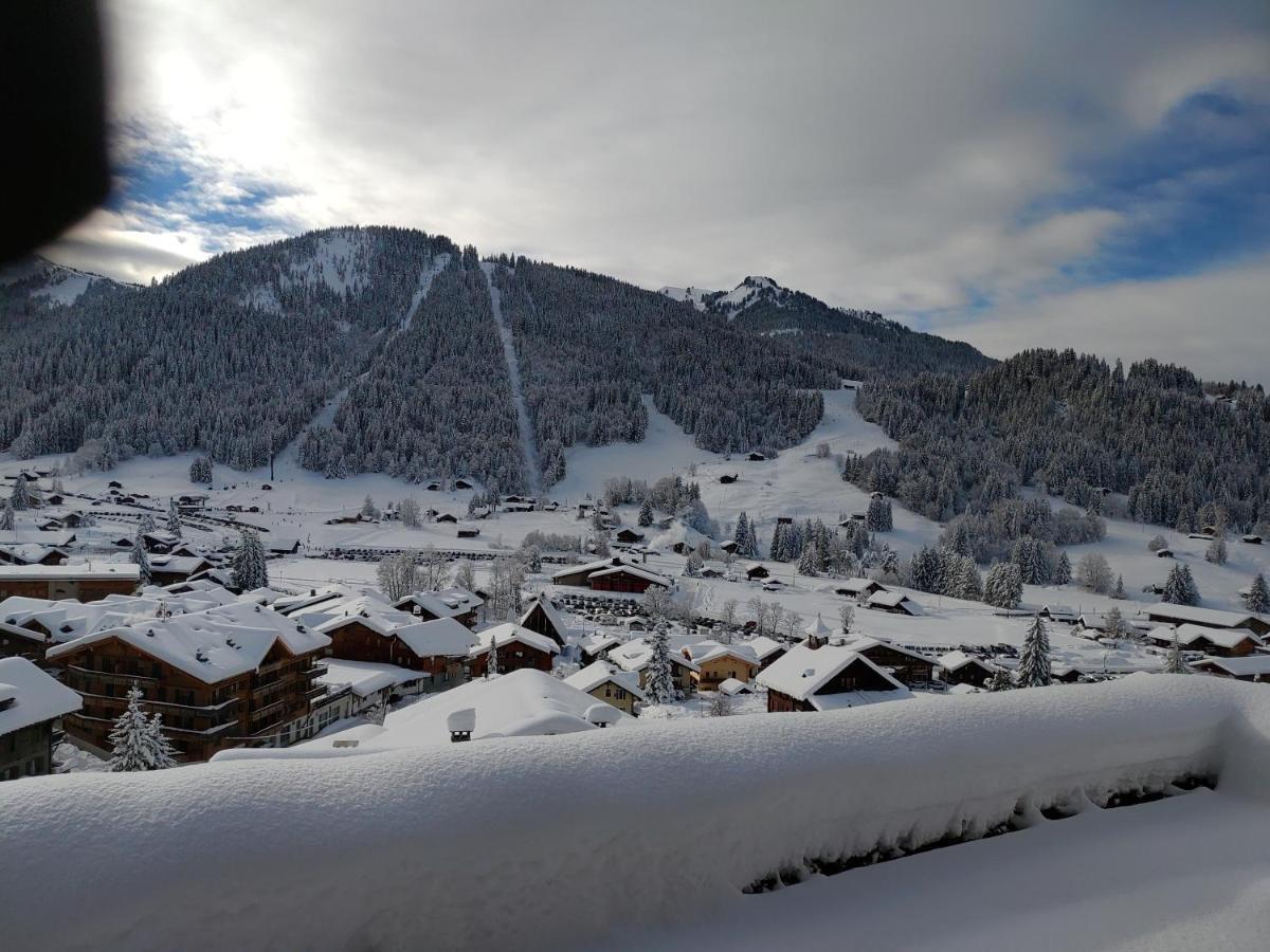 Studio Avec Vue Splendide Sur Les Diablerets Eksteriør bilde