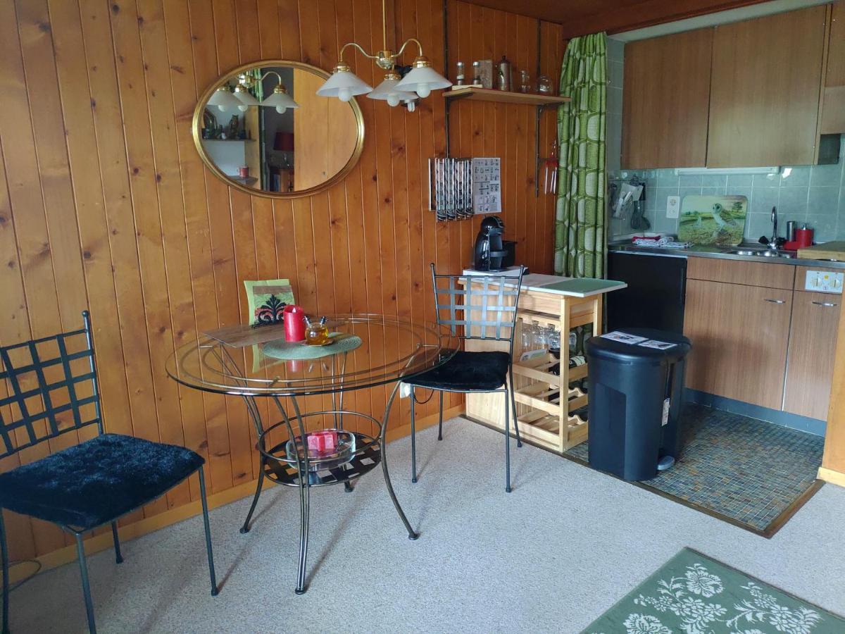 Studio Avec Vue Splendide Sur Les Diablerets Eksteriør bilde