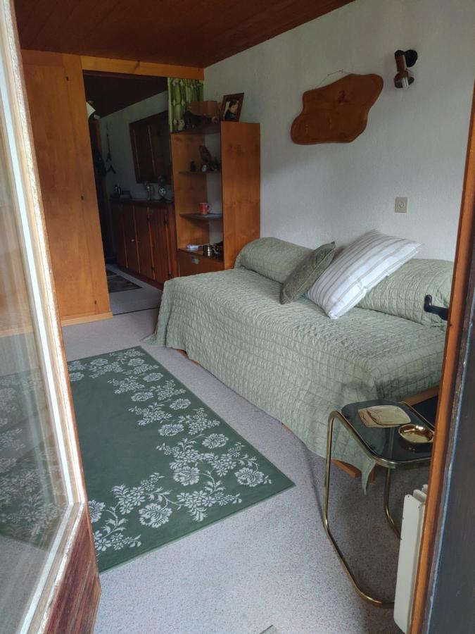 Studio Avec Vue Splendide Sur Les Diablerets Eksteriør bilde