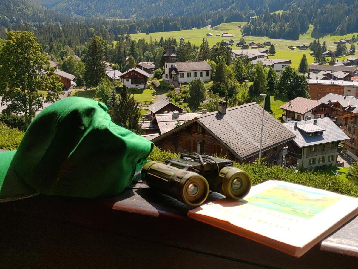 Studio Avec Vue Splendide Sur Les Diablerets Eksteriør bilde